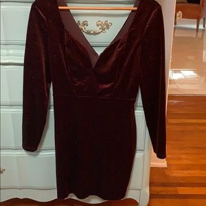 Express Plunge Maroon Velvet Mini Dress